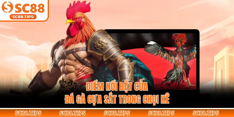 Điểm nổi bật của đá gà cựa sắt trong chọi kê