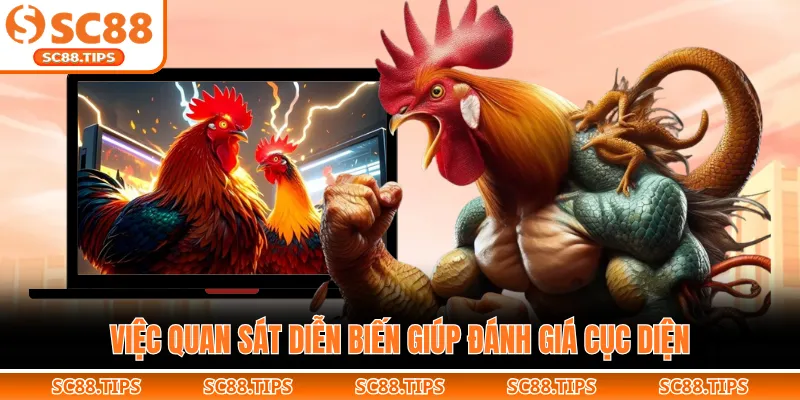 Việc quan sát diễn biến giúp đánh giá cục diện
